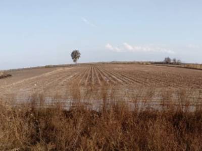 Kelid Aynası- Arkadaşıma Mektuplar&nbsp;(2)